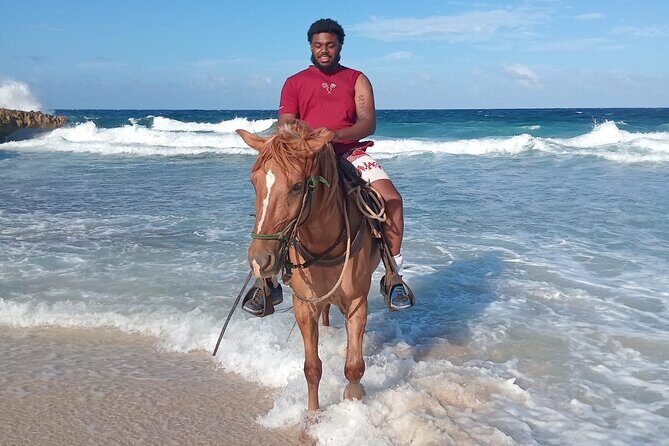 Shore Excursion Arubas Ecological and Beach Horseback Riding - Final Thoughts: Is It Worth It?