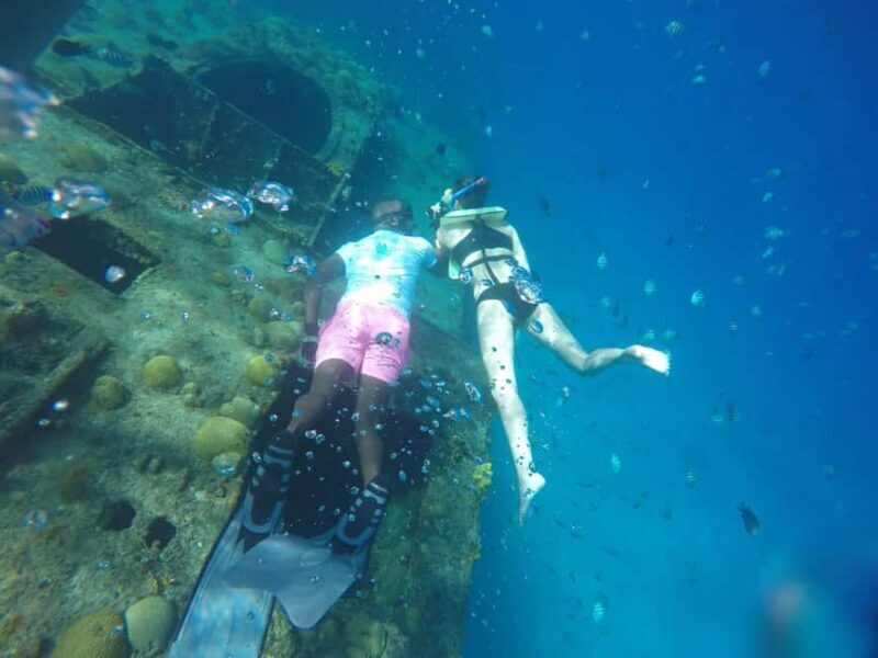 Shore Excursion Barbados Beach Day & Turtle Swim Experience - FAQ