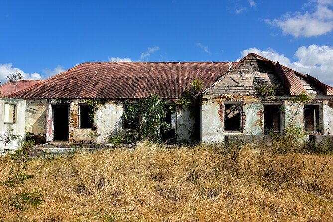 Shore Excursion: City of St John's Sightseeing Tour - Final Thoughts: Who Is This Tour Best For?