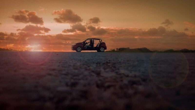 Shore Excursion: Cozumel Island Buggy Tour & Beach Visit - Experience Quality and Feedback