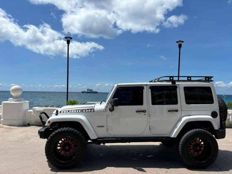 Shore Excursion: Cozumel Island Jeep Tour with Beach Visit - Who Will Love This Tour?