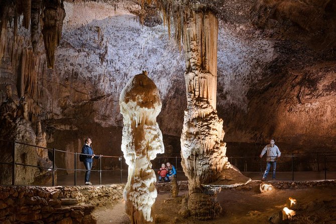 Shore Excursion/Day Tour to Postojna Cave and Ljubljana From Koper - Inclusions