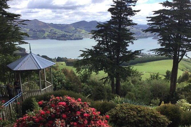 Shore Excursion: Dunedin City, Otago Peninsula, Castle Gardens & Olveston Tour - The Value and Cost