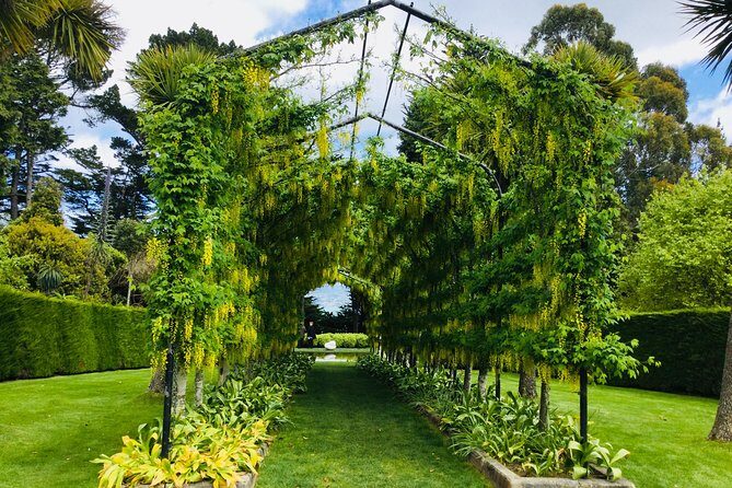 Shore Excursion: Dunedin City, Otago Peninsula, Castle Gardens & Olveston Tour - Authentic Experiences Reported by Travelers