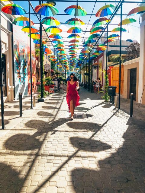 Shore Excursion: Eat Drink and Be Merry Puerto Plata City - Highlights of the Experience