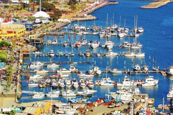 Shore Excursion Ensenada: Tuk Tuk and Horseback Beach Ride - Final Thoughts