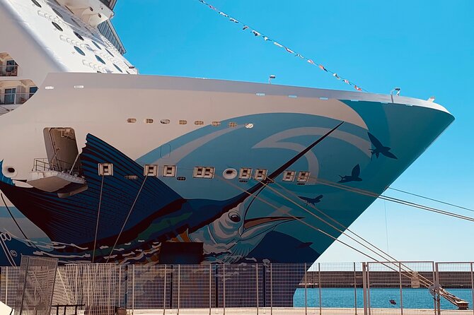 Shore Excursion From Civitavecchia to Rome With Drive Guide - Personalized Driver-Guide Experience