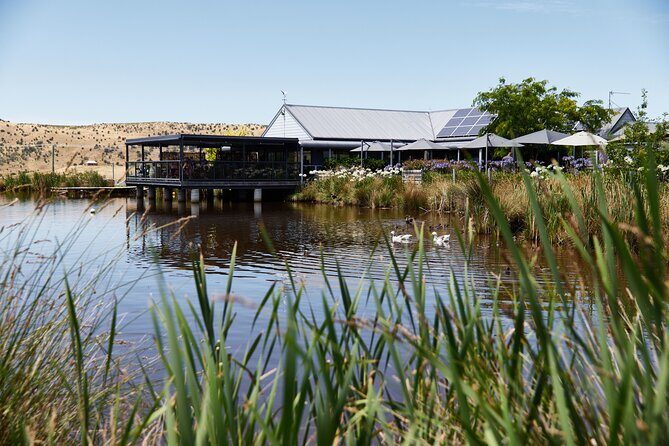 Shore Excursion Hobart and Coal River Valley - Practical Details and Value