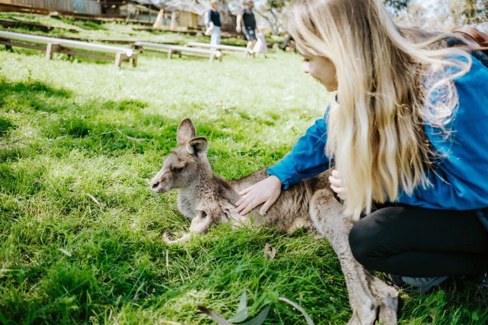 Shore Excursion: Hobart Wanderer - Key Points