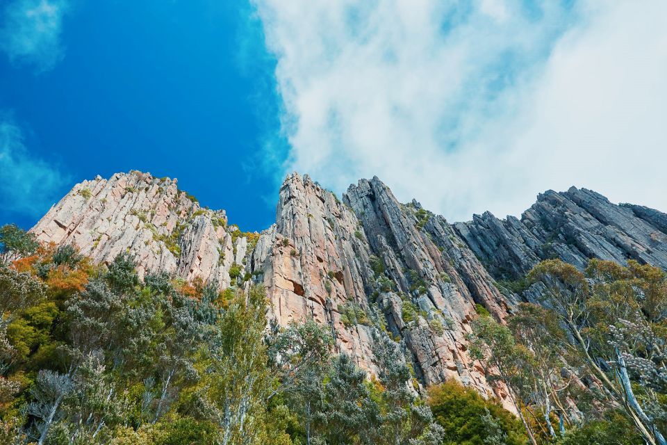 Shore Excursion: Hobart Wanderer - Highlights