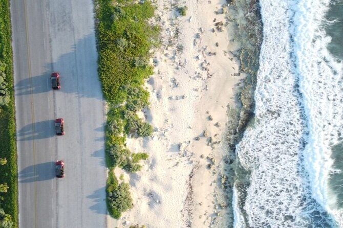 Shore Excursion: Jeep to Punta Sur Park & Beach Club - Starting Your Adventure: Cozumel