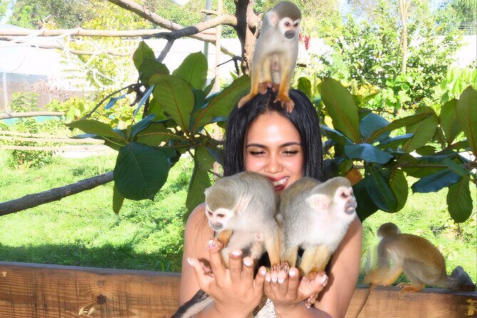 Shore Excursion Monkey Encounter and Puerto Plata City Tour - An Overview of the Tour Experience