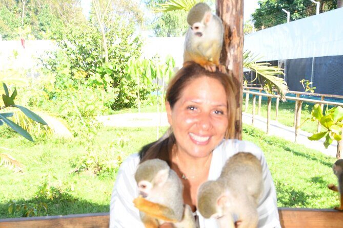 Shore Excursion Monkey Encounter and Puerto Plata City Tour - Authentic Experiences and Practical Tips
