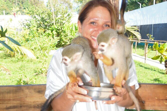 Shore Excursion Monkey Encounter and Puerto Plata City Tour - Frequently Asked Questions