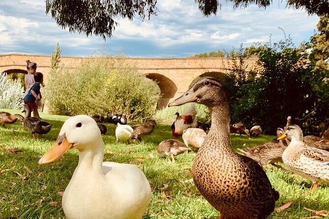 Shore Excursion: Nipaluna (Hobart) Highlights - The Transport and Group Size