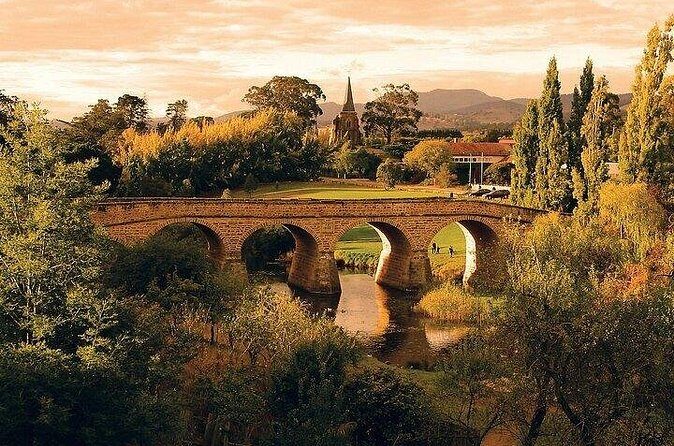 Shore Excursion - nipaluna (Hobart) Highlights - Who Will Love This Tour?