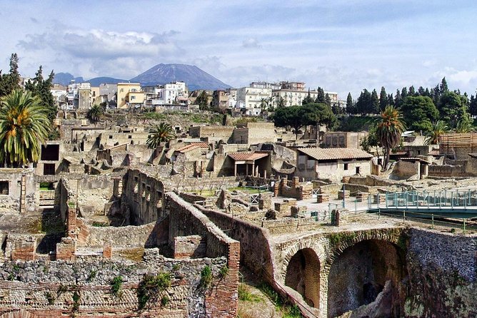 Shore Excursion of Pompeii, Vesuvius, Herculaneum. - Inclusions and Amenities