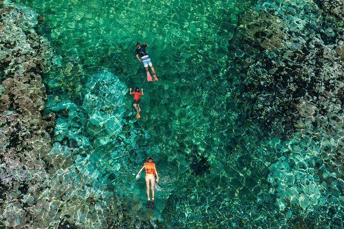 Shore Excursion Premium Family Snorkeling Experience - Who Would Love This Tour?