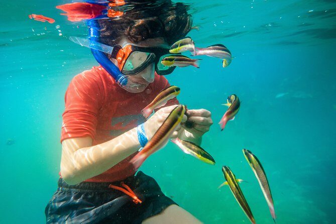 Shore Excursion Premium Family Snorkeling Experience - The Sum Up