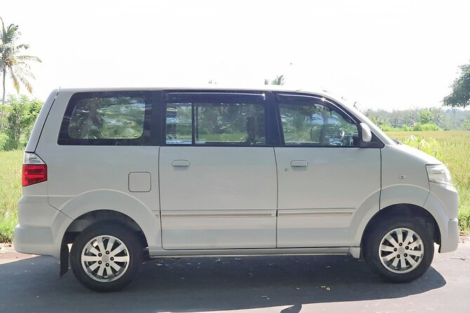 Shore Excursion: Private Bali Car Rental Service - Exclusions
