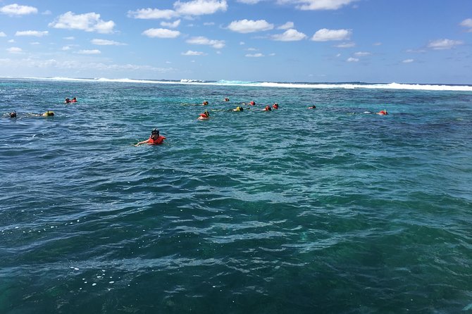 Shore Excursion: Roatan Shipwreck Snorkel Adventure - Snorkeling Adventure