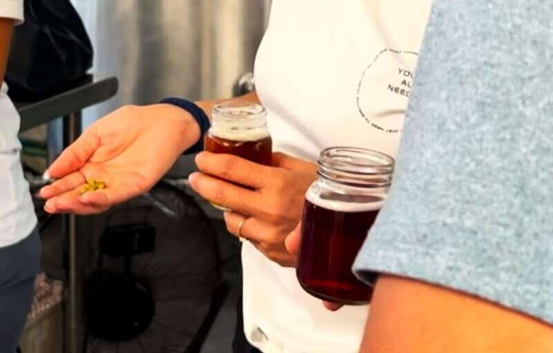 Shore Excursion: Savor Cozumel with Tacos, Beer & Mezcal - What Does This Tour Offer? A Deep Dive