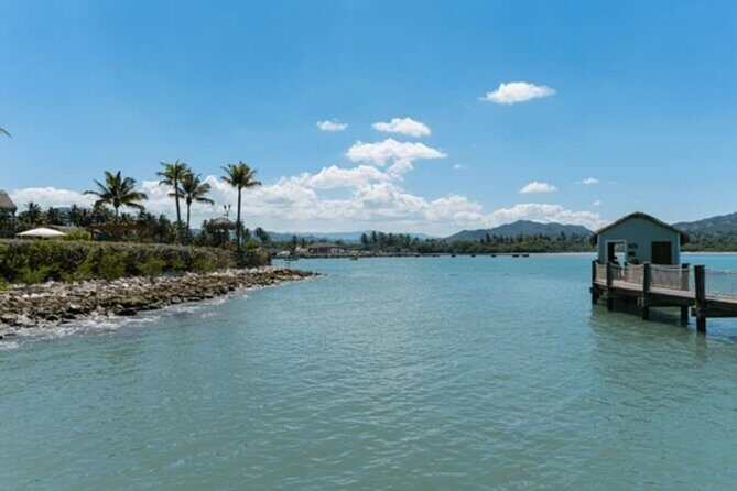 Shore Excursion Small Group Damajagua Falls with Rum Punch - Frequently Asked Questions
