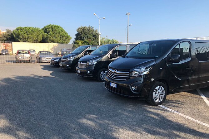 Shore Excursion to Rome From Civitavecchia Port - Group Size and Tour Operator