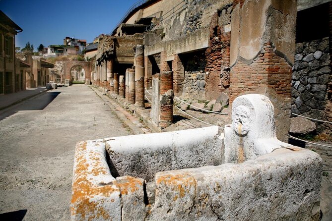 Shore Excursion Vesuvius and Site of Herculaneum (6 Hrs) - Key Points