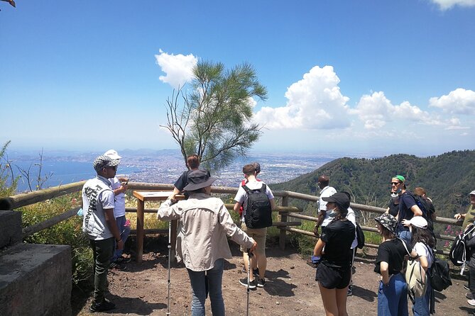 Shore Excursion Vesuvius and Site of Herculaneum (6 Hrs) - Discovering Herculaneum