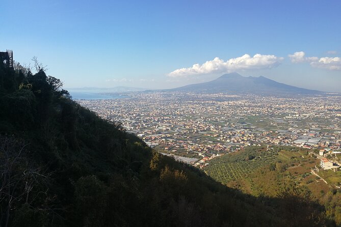 Shore Excursion Vesuvius and Site of Herculaneum (6 Hrs) - Health and Safety Considerations