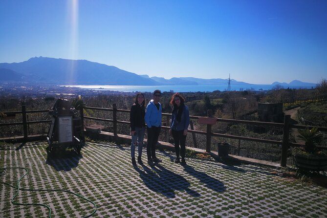 Shore Excursion Vesuvius and Site of Herculaneum (6 Hrs) - Booking and Pricing Information