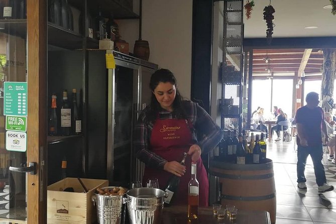 Shore Excursion With Wine & Food Tasting at Cantina Del Vesuvio Winery - Inclusions and Amenities