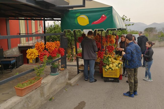 Shore Excursion With Wine & Food Tasting at Cantina Del Vesuvio Winery - Accessibility and Participation