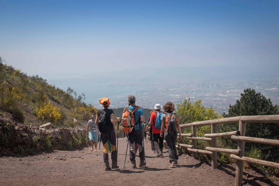 Shore Excursions: Pompeii & Vesuvius shared guided tour - An Overview of the Day: What to Expect