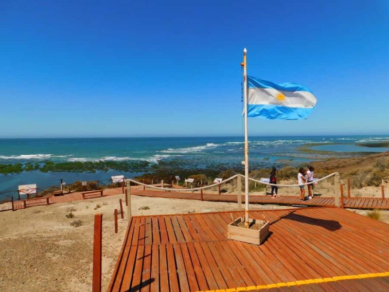 Shore Tours Peninsula Valdes Puerto Madryn Cruise Passengers - Key Points