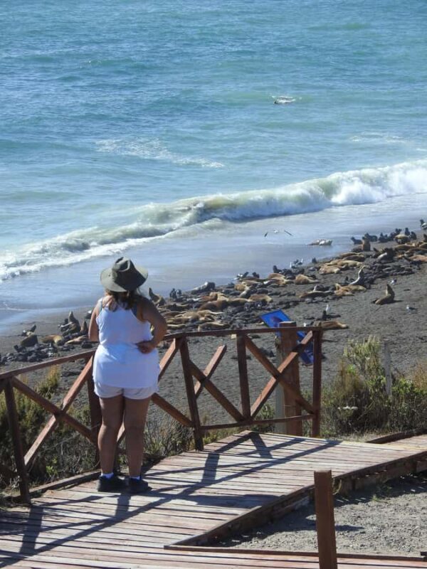 Shore Tours Peninsula Valdes Puerto Madryn Cruise Passengers - A Closer Look at the Península Valdés Shore Tour