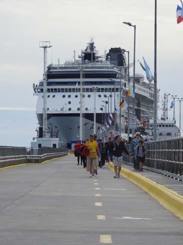 Shore Tours Peninsula Valdes Puerto Madryn Cruise Passengers - Who Should Consider This Tour?