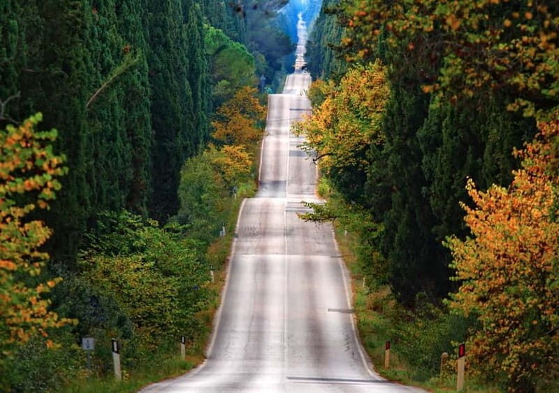 Shore Trip from La Spezia: Pisa,Lucca,lunch & tasting Winery - The Tuscany Winery: Savoring Food and Wine in the Heart of Chianti