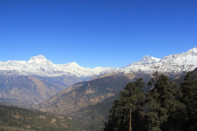 Short Annapurna Base Camp Trek - 7 Days - Entry Requirements