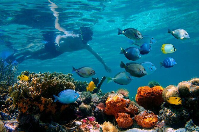 Short Excursion 4-Hour Party Catamaran and Snorkeling - Final Thoughts