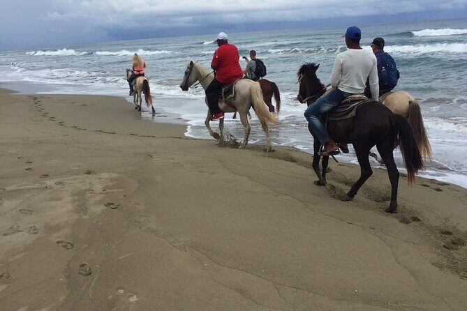 Short Excursion horseback riding tours on the beach and mountain - The Experience: What You Can Expect