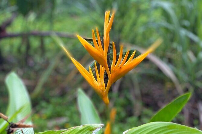 Short Excursion horseback riding tours on the beach and mountain - Who Should Consider This Tour?