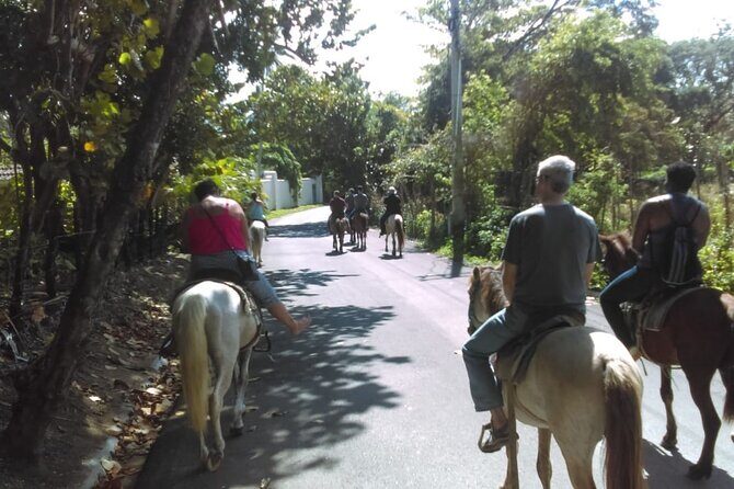 Short Excursion horseback riding tours on the beach and mountain - Frequently Asked Questions