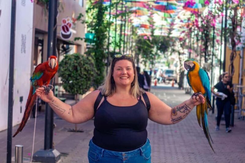 Short Excursions City Tour and 27 Waterfall Damajagua - Key Points