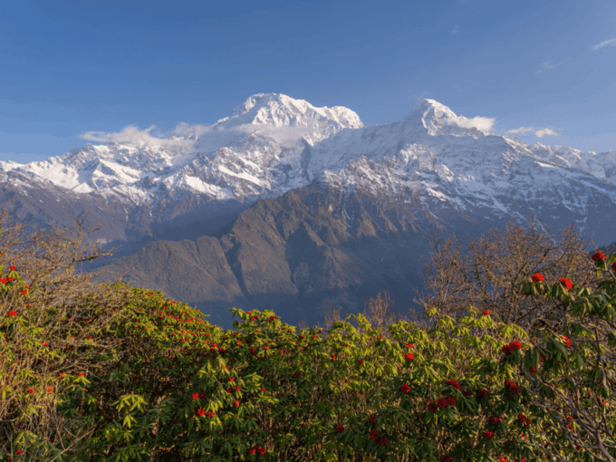 Short Mardi Himal Trek: a Perfect 5-Day Escape From Pokhara - Frequently Asked Questions