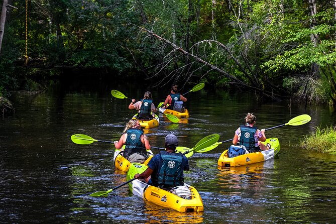 Short River Kayak Tour in New Jersey - Key Points