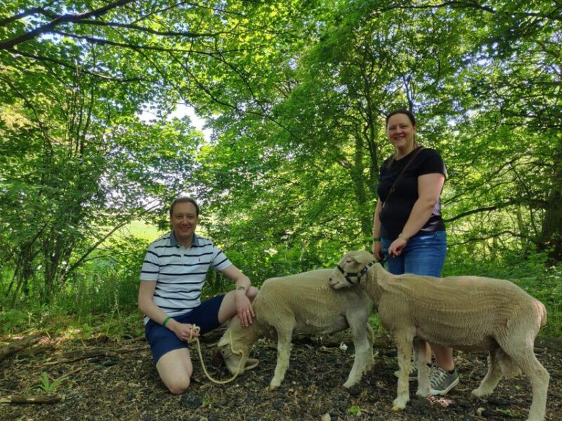 Shropshire Sheep Trekking - Prepare for Your Sheep Trek