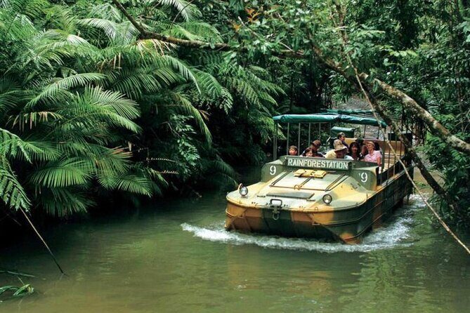 Shuttle Bus Transfer - Kuranda TO Cairns City - Group Size and Booking Tips