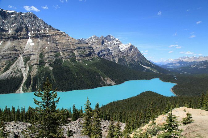 Shuttle from Calgary Canmore Banff to Columbia Icefield - Who Should Book This Tour?